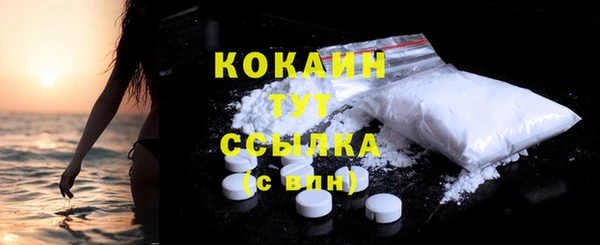 таблы Горняк